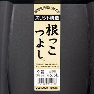 スリット鉢 アップルウェアー 根っこつよし 9...の詳細画像3
