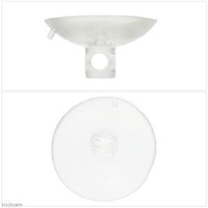 ハムスター用 ペットニード 給水器タイニ80c...の詳細画像1
