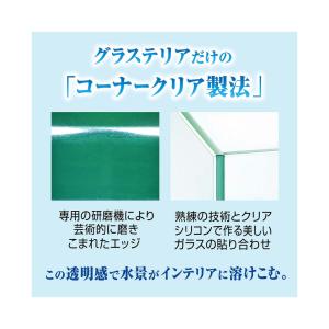GEX グラステリアFL300 ガラス水槽 3...の詳細画像2