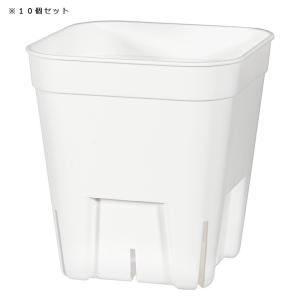 スリット鉢 プレステラ 75型 白 10個セットの詳細画像1