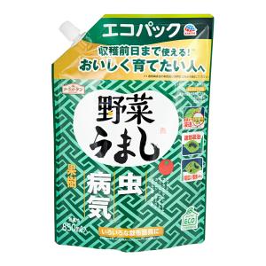 アースガーデン　野菜うまし　エコパック　８５０ｍｌ　野菜用　殺虫殺菌剤｜charm 第2ヤフー店
