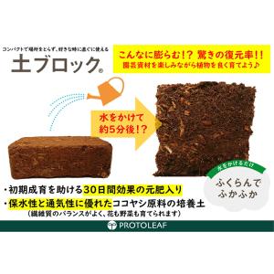 培養土 プロトリーフ 土ブロック 8Lサイズ ...の詳細画像4