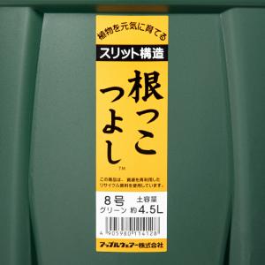 スリット鉢 アップルウェアー 根っこつよし 8...の詳細画像3