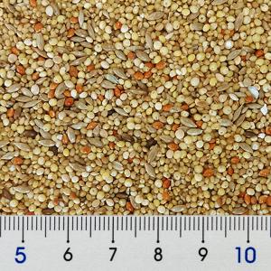 NPF エクセル おいしい小鳥の食事 皮むき ...の詳細画像1
