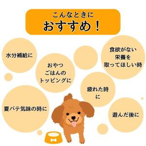 アース・ペット わんわんカロリー ライフ シニ...の詳細画像2