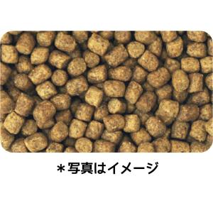 ドッグフード イースター ウェルケア トイ・プ...の詳細画像1