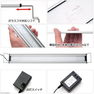 爬虫類ケージ テラスペース 60×45×60c...の詳細画像5