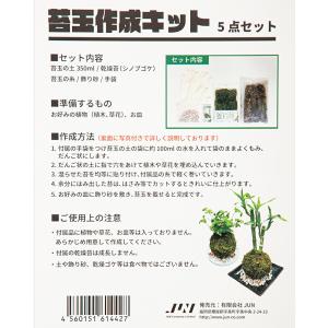 JUN J.GREEN 苔玉作成キット(5点セット)の詳細画像2
