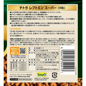 テトラ レプトミンスーパー 大粒 260gの詳細画像2