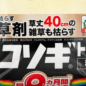 レインボー ネコソギトップF 粒剤 5kg イ...の詳細画像3