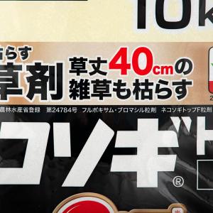 レインボー ネコソギトップF 10kg 粒状 ...の詳細画像3