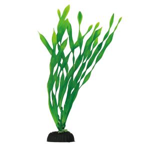 コトブキ工芸　ＰＯＮ−シングル　バリスネリア