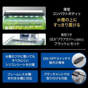 GEX クリアLED フラッティパワー 150BKの詳細画像4