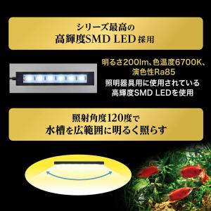 GEX クリアLED フラッティパワー 150BKの詳細画像5