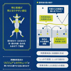ヒノケア for プロフェッショナルズ スキン...の詳細画像4