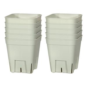 プレミアムプレステラ　７５型　グリーン　１０個セット