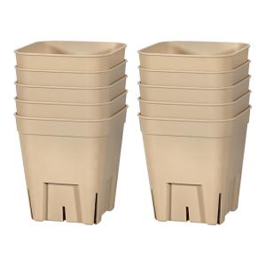 プレミアムプレステラ　７５型　ブラウン　１０個セット