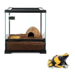 （両生類）ヤドクガエルの基本飼育セット＆「キオビヤドクガエル　ギアナ　バンド」　本州四国限定