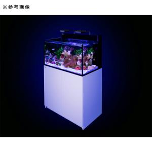 アウトレット品 レッドシー MAX NANO ...の詳細画像4