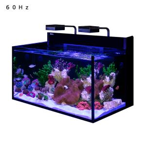 アウトレット品 レッドシー MAX NANO ...の詳細画像2
