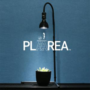 ゼンスイ PLAAREA スタンドソケット 水...の詳細画像5
