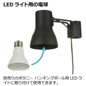 リッチェル 植物育成用LED電球(E26)1型の詳細画像2