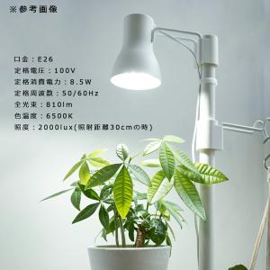 リッチェル 植物育成用LED電球(E26)1型の詳細画像4