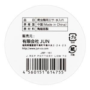 JUN J.REP POTTERY LOW 70の詳細画像3