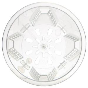 根が見える透明鉢 直径10cm 9個の詳細画像3