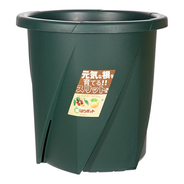 スリット鉢　大和プラスチック　根はりポット　３５型　ダークグリーン