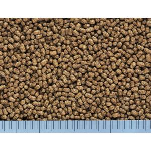 キョーリン カメプロスミニ 40g×2袋 お一...の詳細画像2
