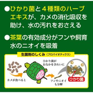 キョーリン カメプロスミニ 40g×2袋 お一...の詳細画像4