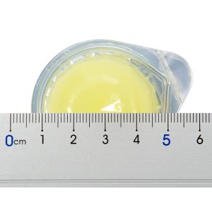 三晃商会 レプタイルゼリー 16g×10P E...の詳細画像1