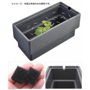 GEX メダカ元気 快適繁殖ケース L めだか...の詳細画像1