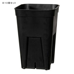 スリット鉢 プレステラ 75深型 黒 10個セ...の詳細画像1