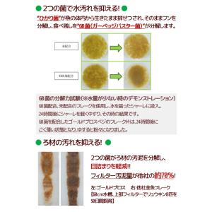 キョーリン ゴールドプロスベジ 12g 金魚の...の詳細画像1