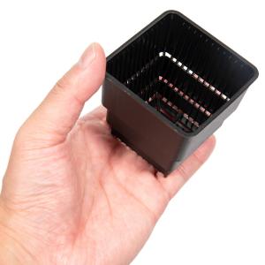 スリット鉢 すごい根 スクエアショート 2号 黒の詳細画像3