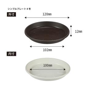 アップルウェアー シンプルプレート 4号 ホワ...の詳細画像1