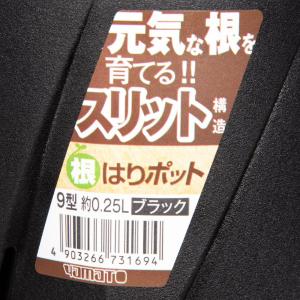 スリット鉢 大和プラスチック 根はりポット 9...の詳細画像2