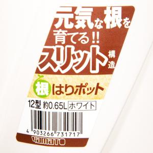 スリット鉢 大和プラスチック 根はりポット 1...の詳細画像2