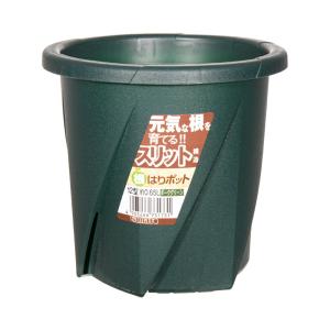 スリット鉢　大和プラスチック　根はりポット　１２号　ダークグリーン