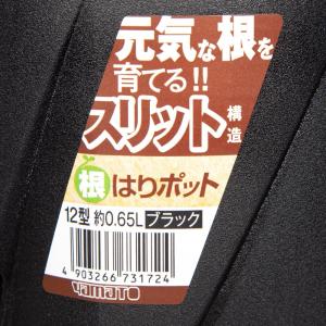 スリット鉢 大和プラスチック 根はりポット 1...の詳細画像2