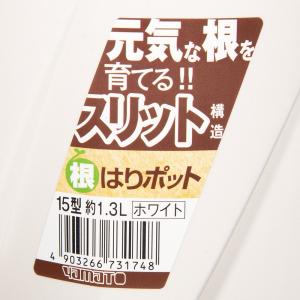 スリット鉢 大和プラスチック 根はりポット 1...の詳細画像2