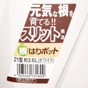 スリット鉢 大和プラスチック 根はりポット 2...の詳細画像2