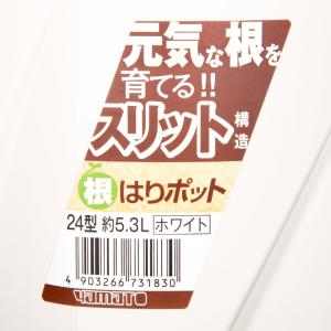 スリット鉢 大和プラスチック 根はりポット 2...の詳細画像2