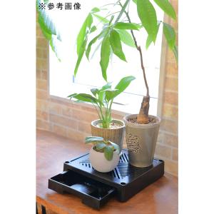 DAIM どこでもブラックベース 24cm フ...の詳細画像1