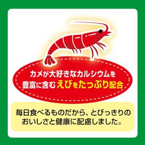 GEX カメ元気 ごちそうごはん 大粒 180...の詳細画像2