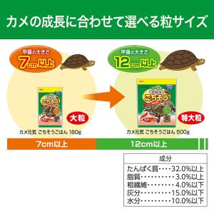 GEX カメ元気 ごちそうごはん 大粒 180...の詳細画像4