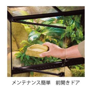 (大型)GEX エキゾテラ グラステラリウム ...の詳細画像3