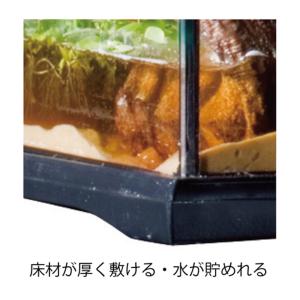 (大型)GEX エキゾテラ グラステラリウム ...の詳細画像4